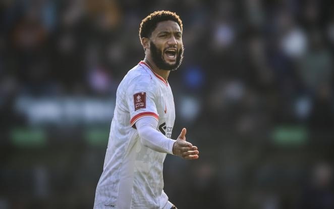 确保了他们 确保了他们