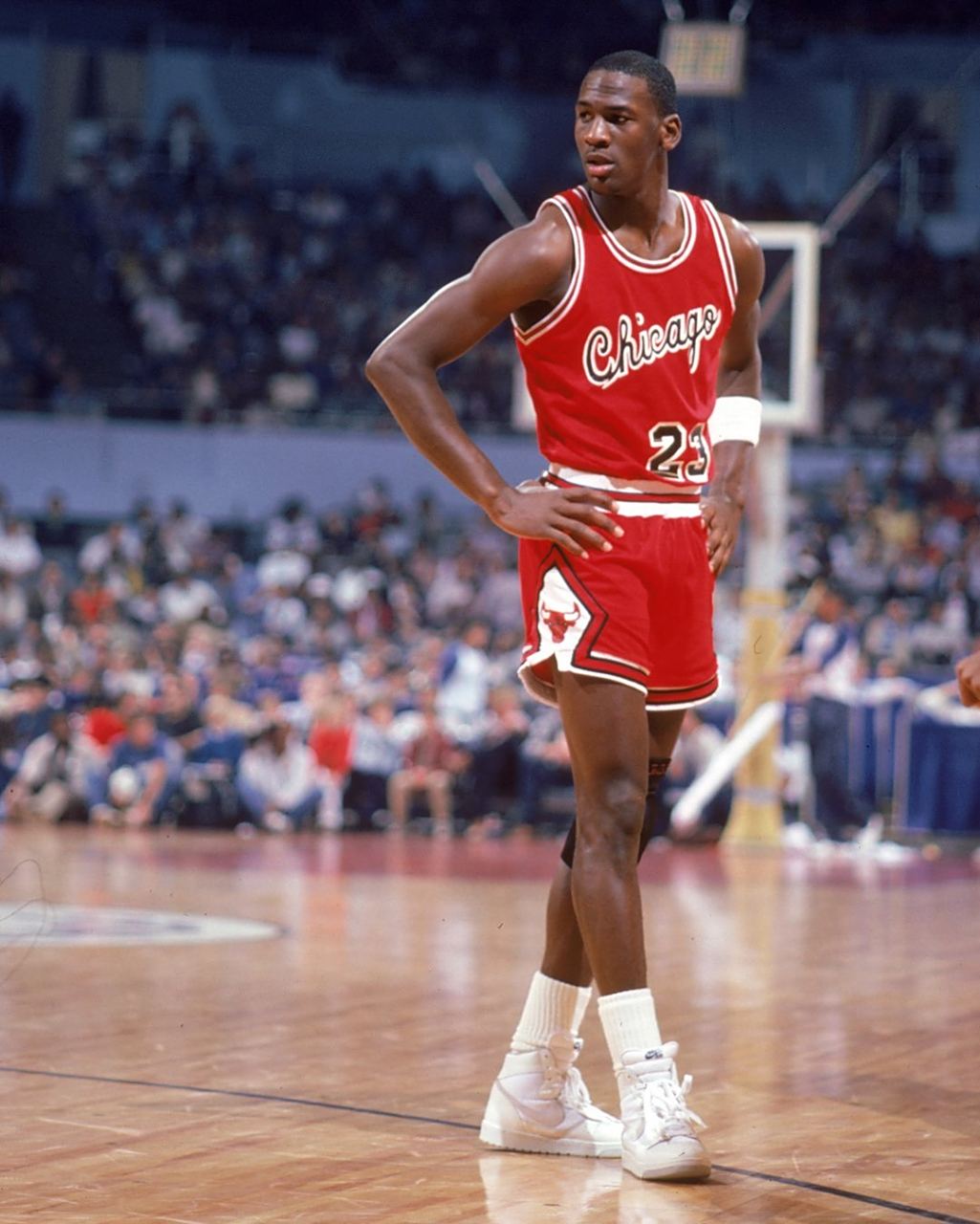 保持了照片 保持了照片