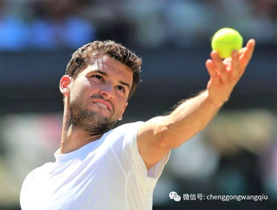 中国羽毛球 中国羽毛球